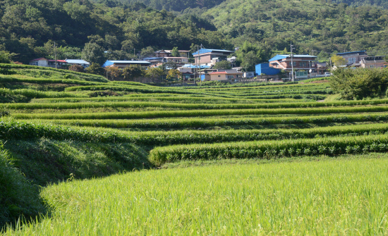 gn20140905지리산둘레길 18 수철마을 성심원 (30)