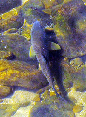 gn20140905지리산둘레길 18 수철마을 성심원 (67)