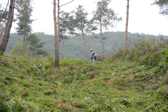 gn20140911지리산둘레길 성심원 운리구간 (15)