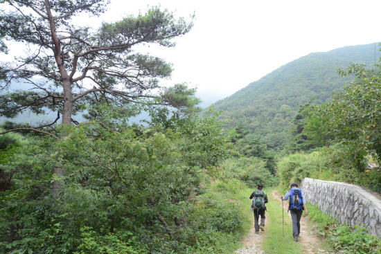 gn20140911지리산둘레길 성심원 운리구간 (19)