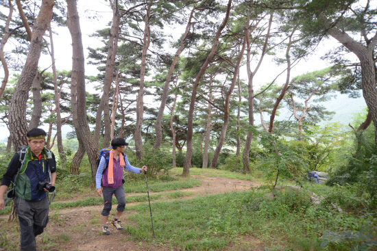 gn20140911지리산둘레길 성심원 운리구간 (143)