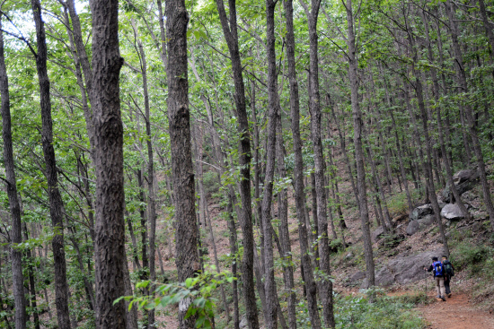 gn20140926지리산둘레길 운리 덕산 (50)