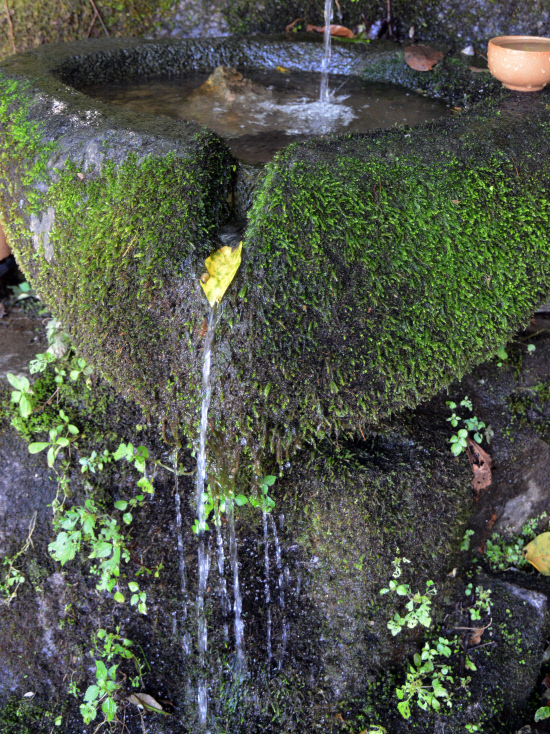 gn20141008지리산둘레길 덕산 위태 22 (43)