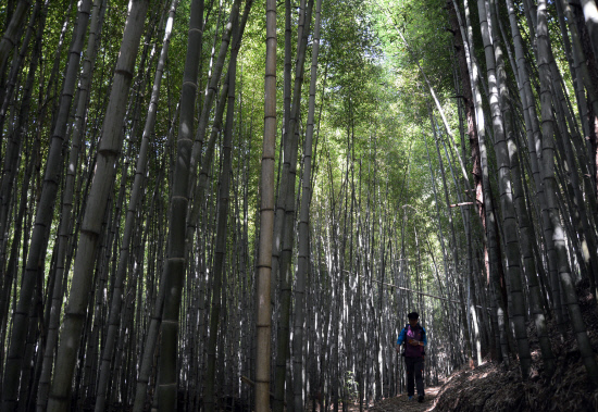 gn20141008지리산둘레길 덕산 위태 22 (100)