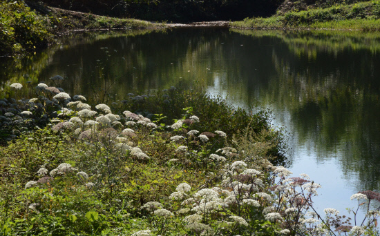 gn20141008지리산둘레길 덕산 위태 22 (115)