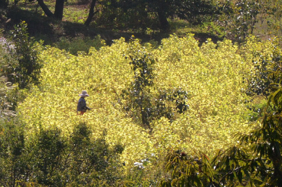 gn20141008지리산둘레길 덕산 위태 22 (122)