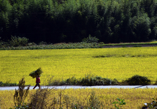 gn20141008지리산둘레길 덕산 위태 22 (128)