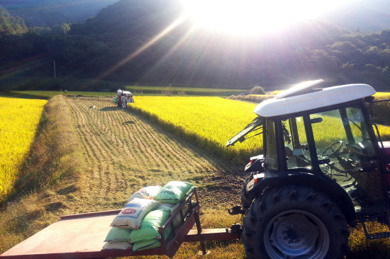 gn20141010지리산둘레길 하동서당구간23회차 (7)