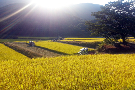 gn20141010지리산둘레길 하동서당구간23회차 (9)