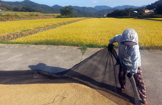 gn20141010지리산둘레길 하동서당구간23회차 (12)