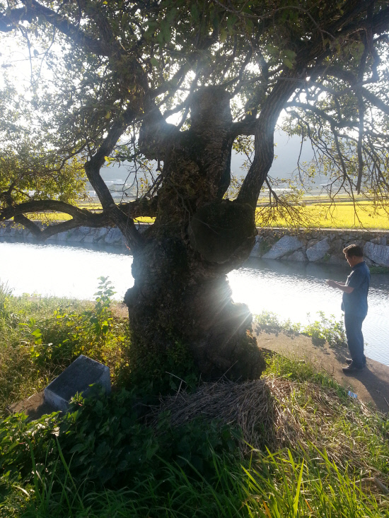 gn20141010지리산둘레길 하동서당구간23회차 (16)