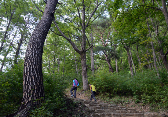 gn20141008지리산둘레길 목아재당재 23 (35)